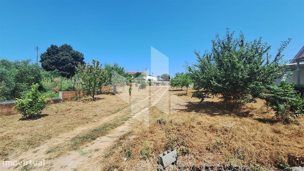 Terreno Urbano  Venda em Treixedo e Nagozela,Santa Comba Dão