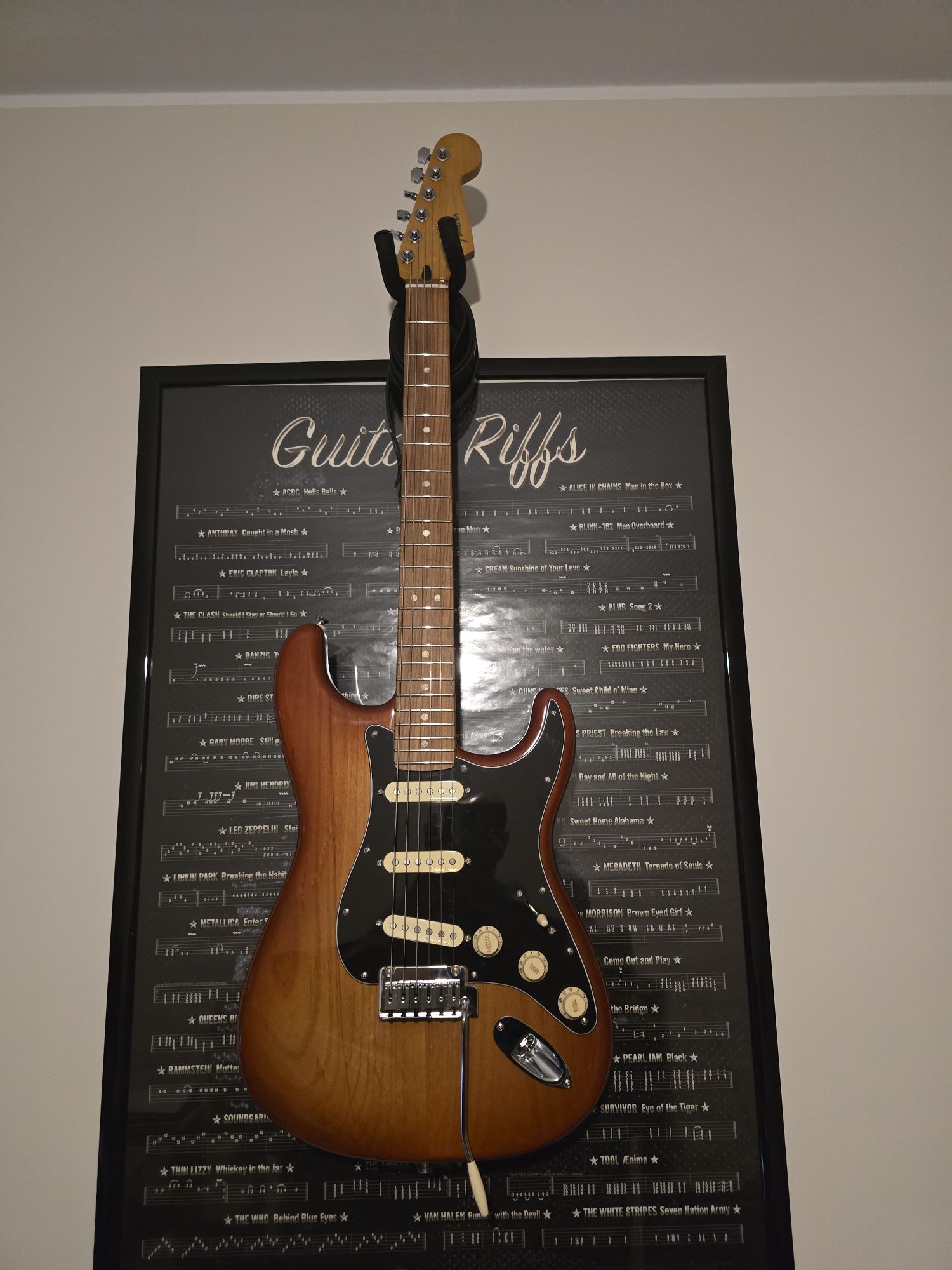 Fender Stratocaster Player Plus