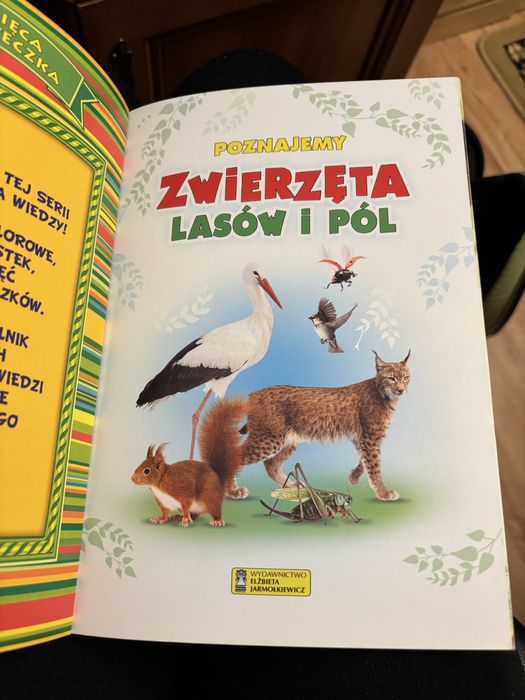 dziecięca biblioteczka - zwierzęta lasów i pól