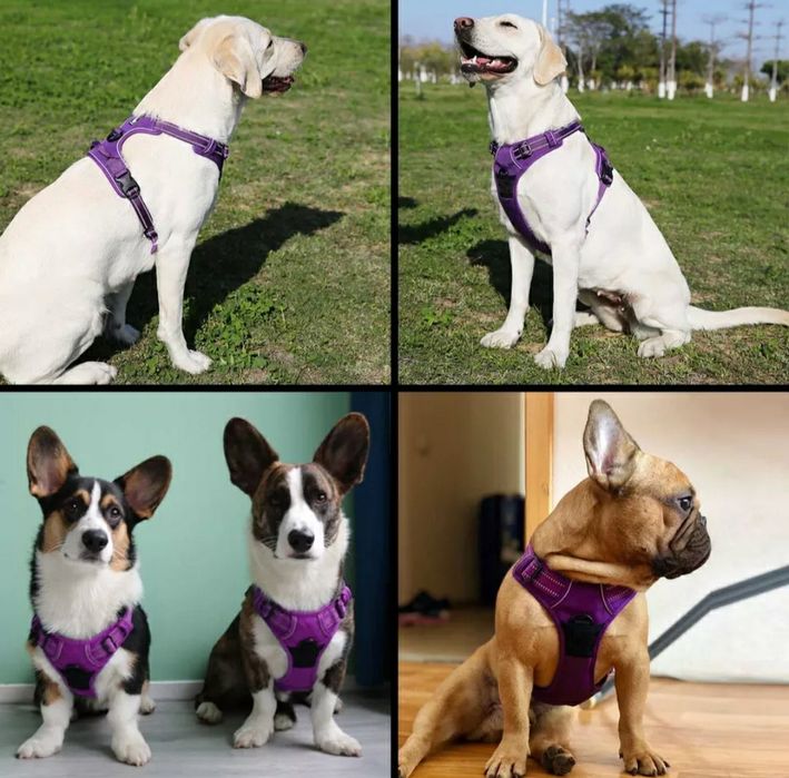 Peitoral para cães (ideal para cães que puxem muito) Novo