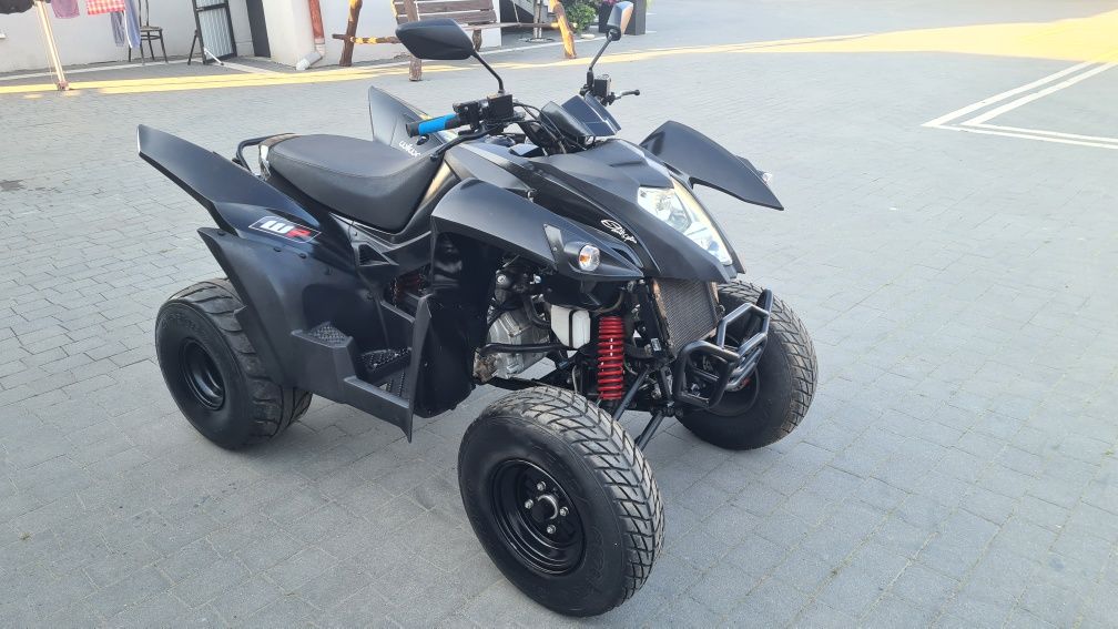 Adly 320 Access lucky star bashan shineray quad