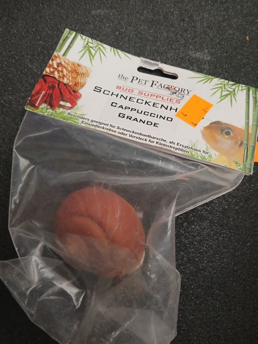 Muszelka ozdoba do akwarium