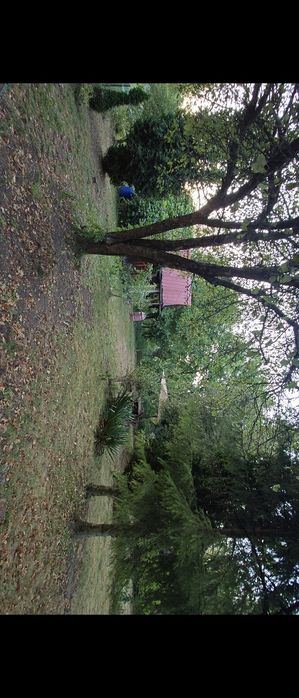 Działka 3 ary ROD Kraków Zwierzyniec