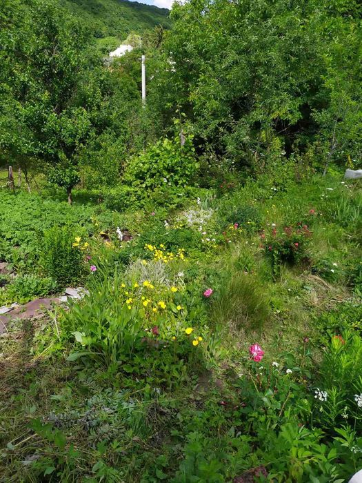 Продам житловий будинок м. Монастириська, 87.8 м2, з ділянкою та садом