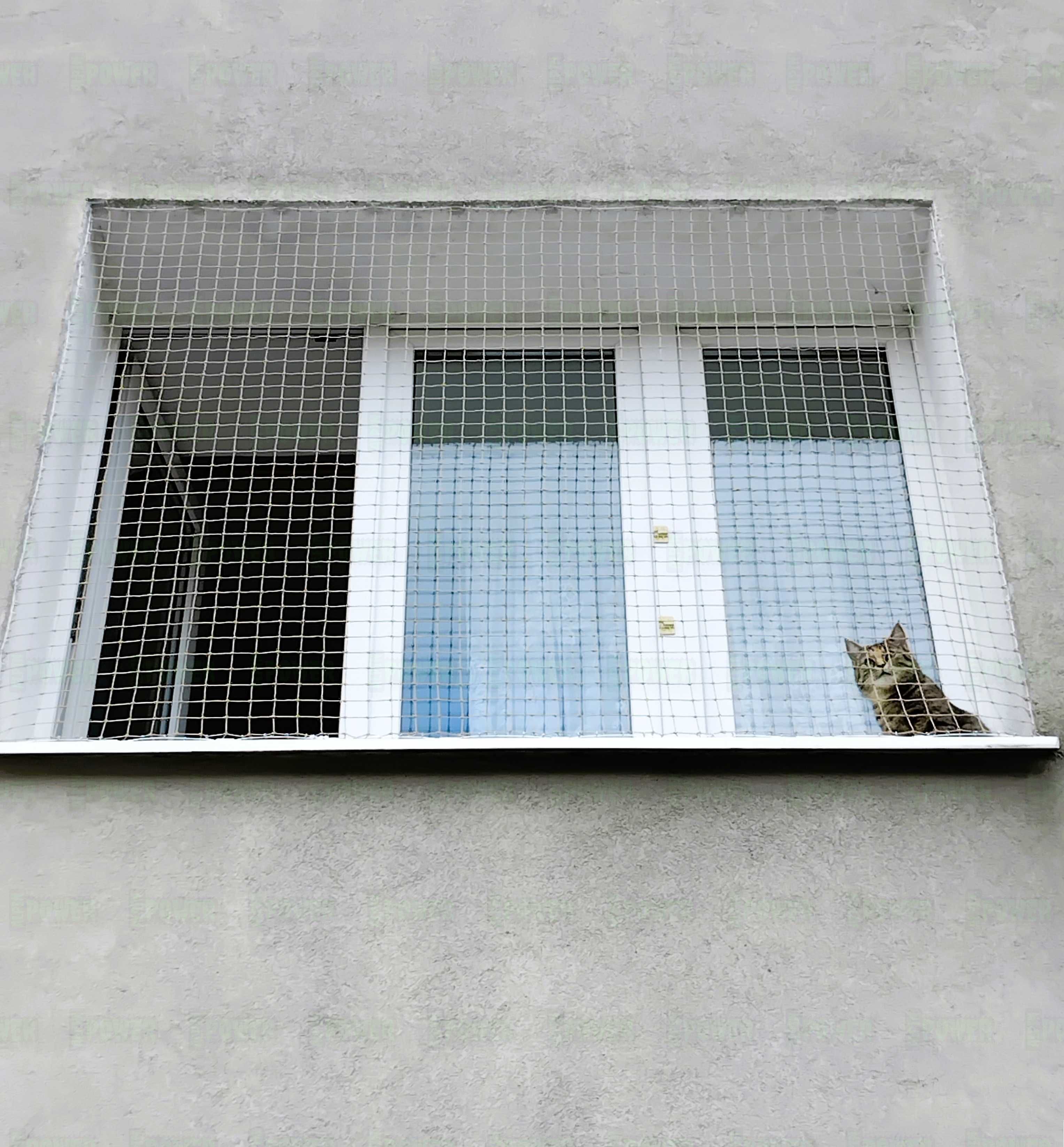 Siatka Dla Kota Na Balkon Montaż Siatki Balkonowej Dla Kotów Na Ptaki
