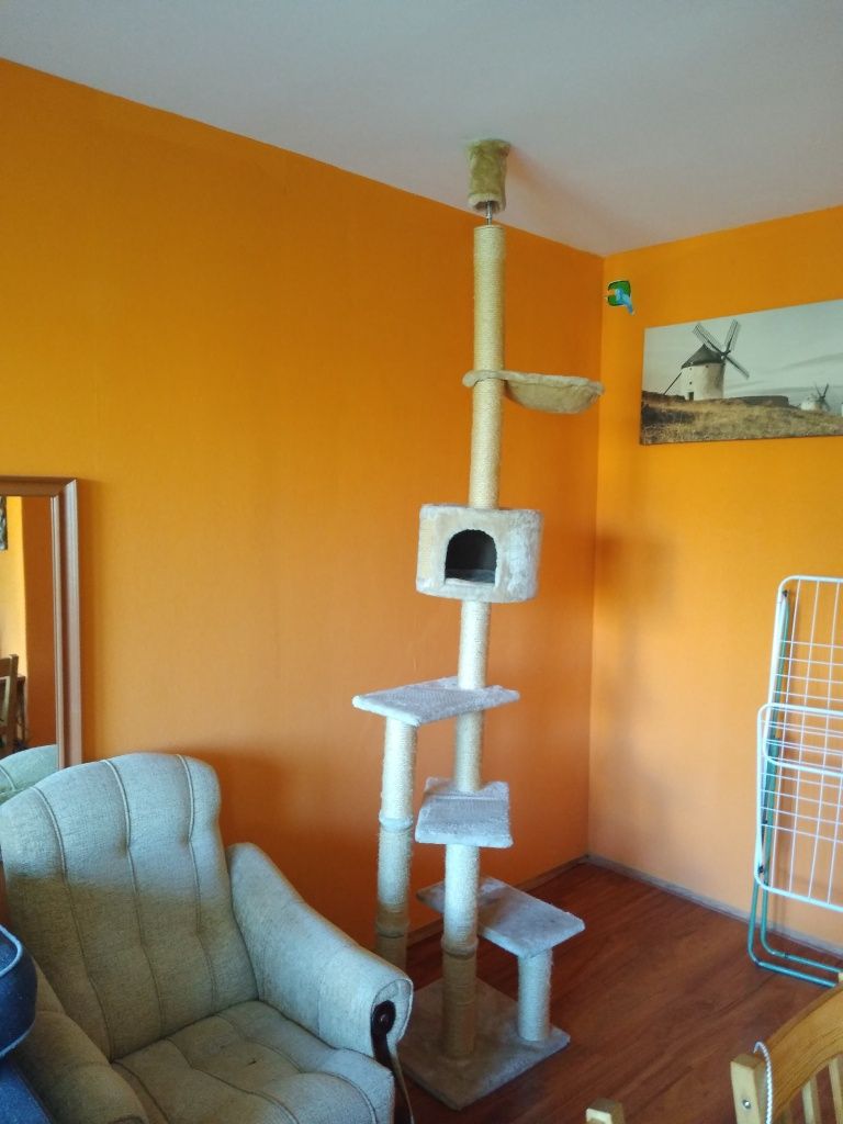 Drapak dla kota wysoki 2,5m