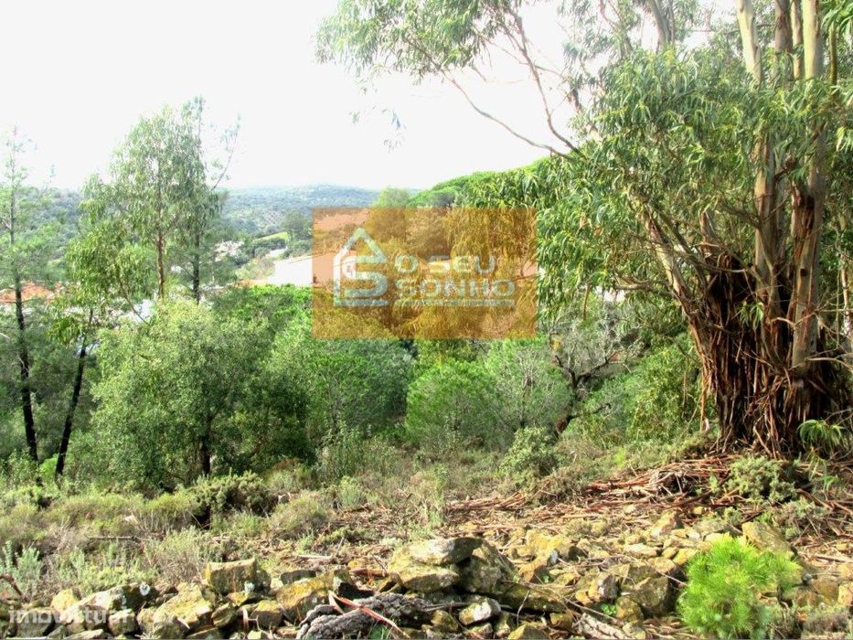 Grande Oportunidade de Negócio - Terreno para Construção em São Brá...