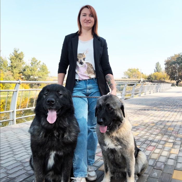 Кавказька вівчарка с документами