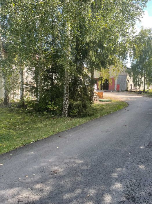 HALE O POW.2000m2+200m2 na DZIAŁCE 9000m2 k/PUŁTUSKA