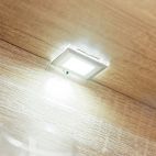 Mebloscianka pokojowa