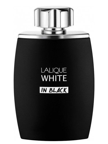 Lalique white in black eau de parfum jak Layton