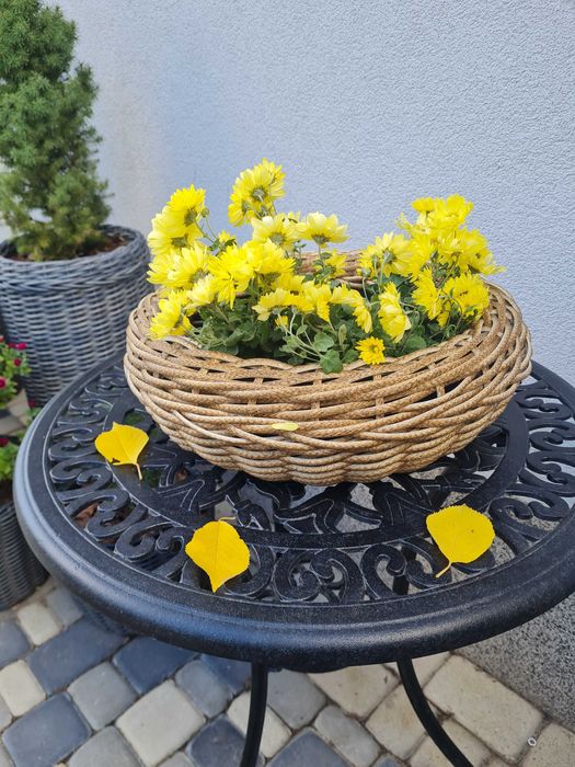 Кашпо(горщик) для квітів.