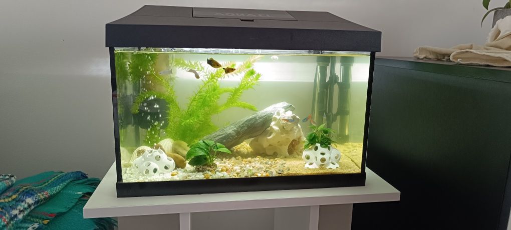 Aquário aquel 40 de 25l