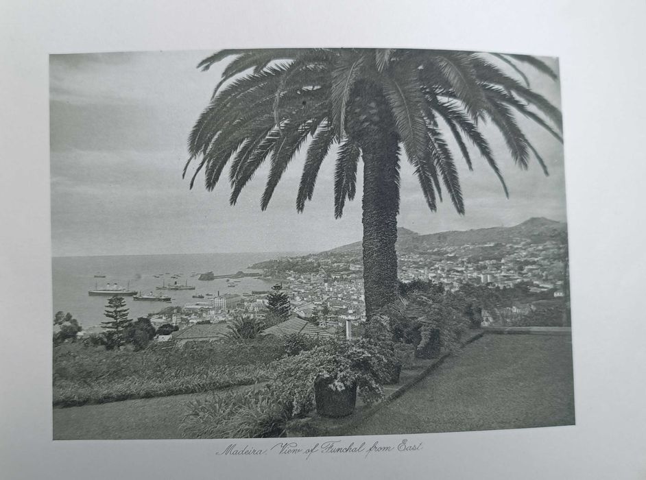 Livro / Album antigo sobre Ilha da MADEIRA