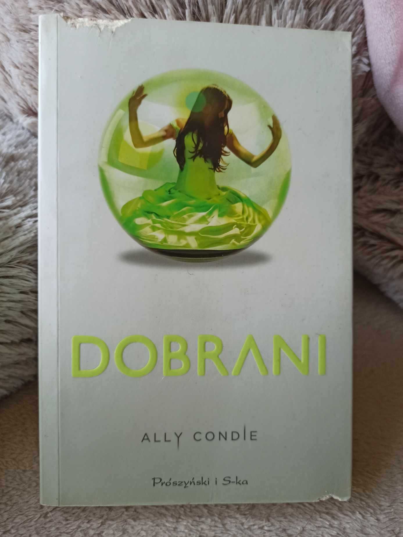 "Dobrani" Ally Condie