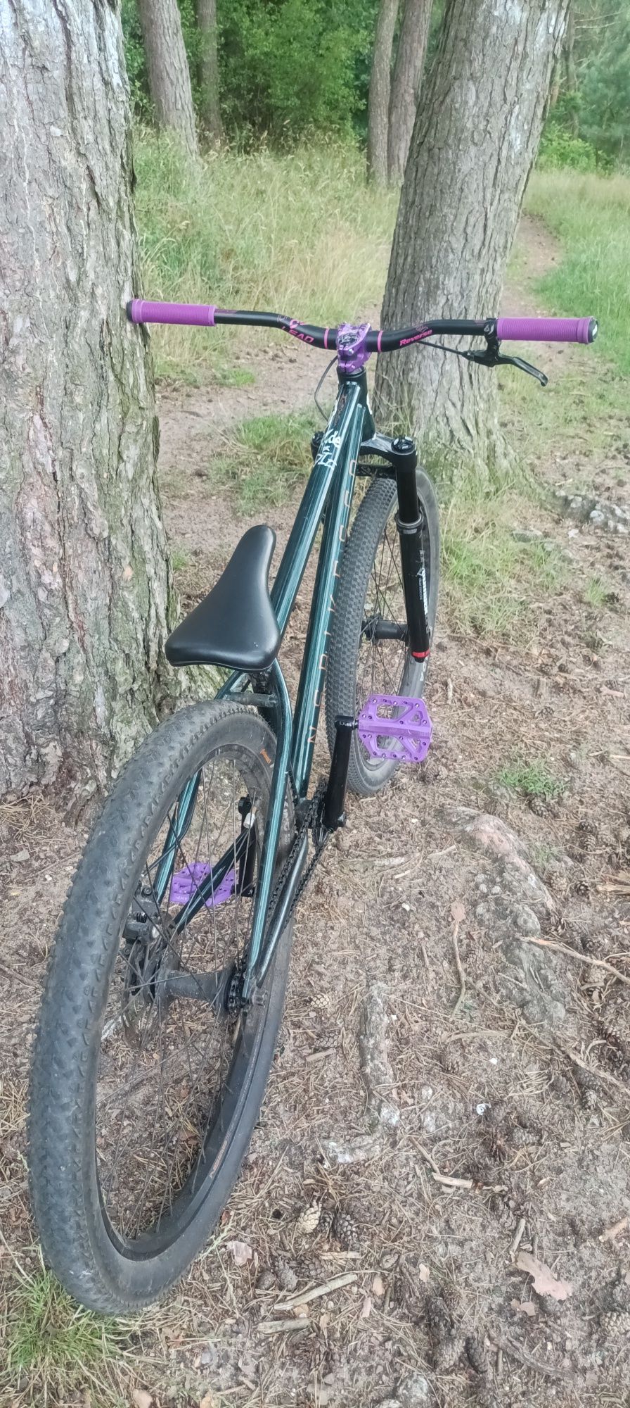 Rower dirt NS Bikes metropolis 3 2022