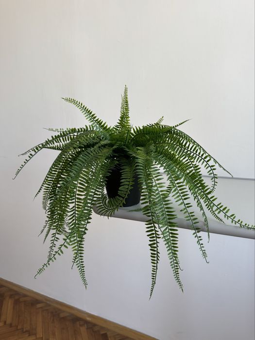 Sztuczny kwiatek doniczkowy paprotka