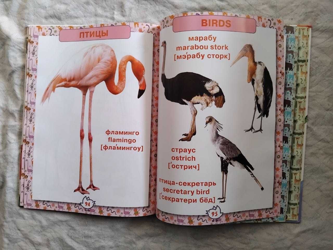 Первая энциклопедия животных для малышей