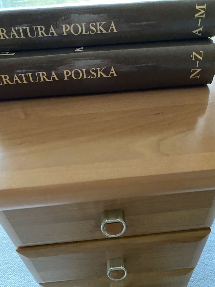 Literatura polska Przewodnik encyklopedyczny