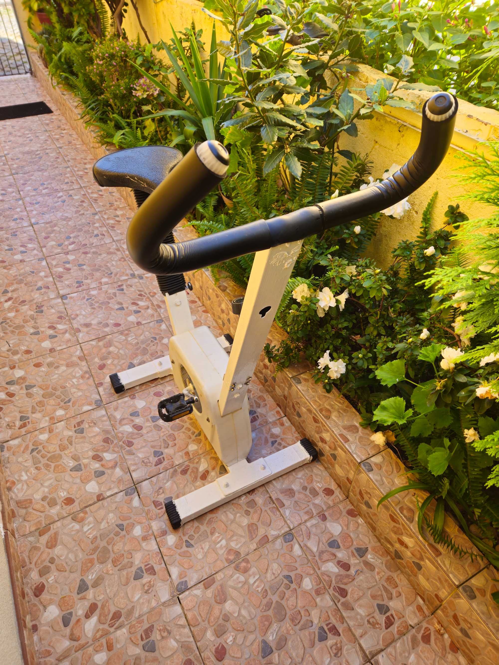 Bicicleta fitness