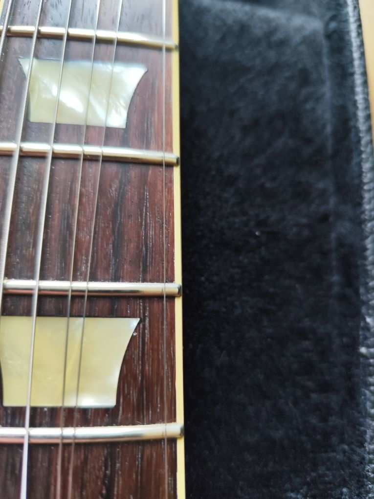 FGN LS 10 tokai burny gibson