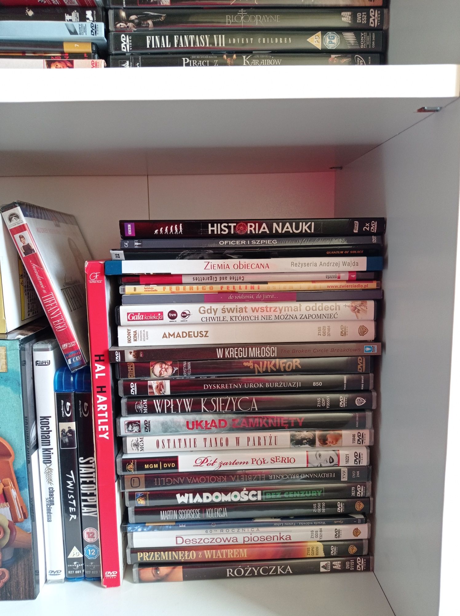 Gigantyczna kolekcja filmów DVD tylko oryginalne i oficjalne wydania!