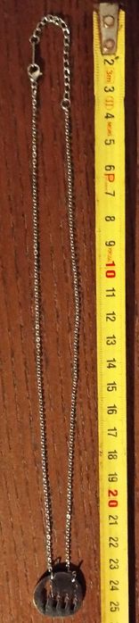 Fio Colar Prata Lei Medalha Familia