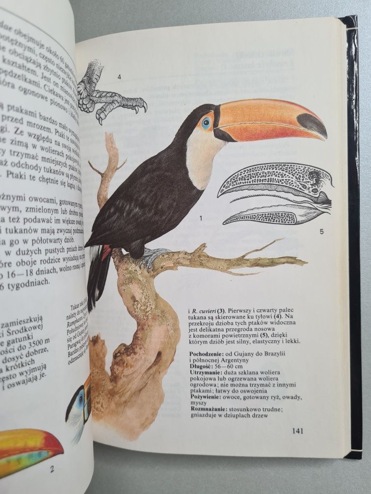 Ptaki ozdobne - Książka