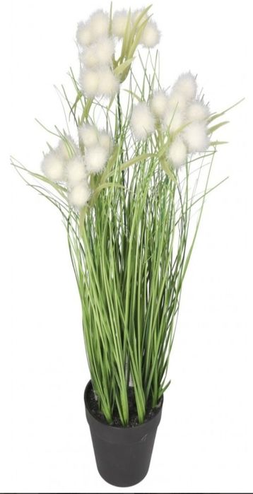 Trawa w doniczce 45 cm