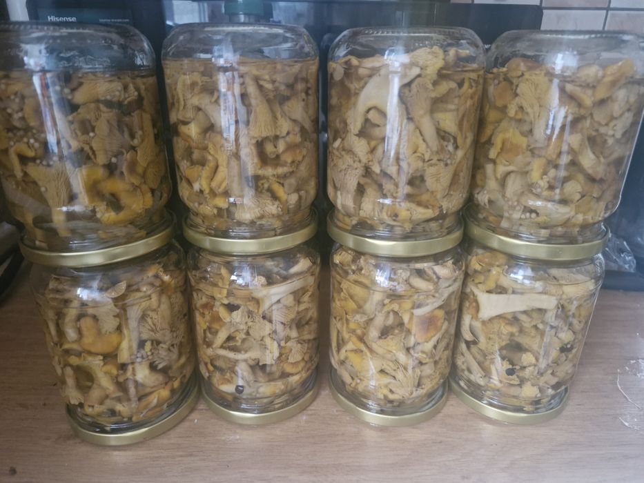 Kurki 8x515ml wiecej octu