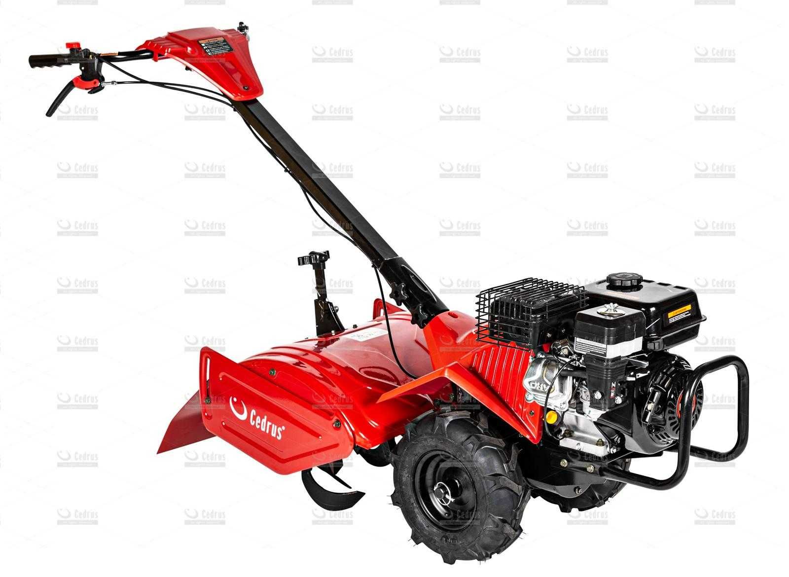 Glebogryzarka CEDRUS GLX-GT65-2 Briggs&Stratton - NOWA -FV