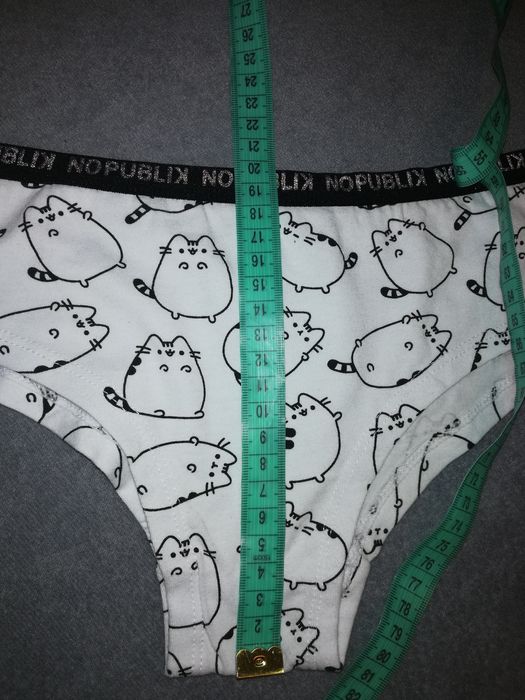 Majteczki z Pushinem