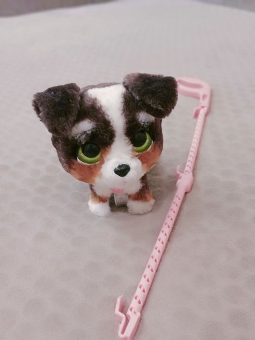 Інтерактивна собачка Fun Real Friends Бернедудель. ОРИГІНАЛ