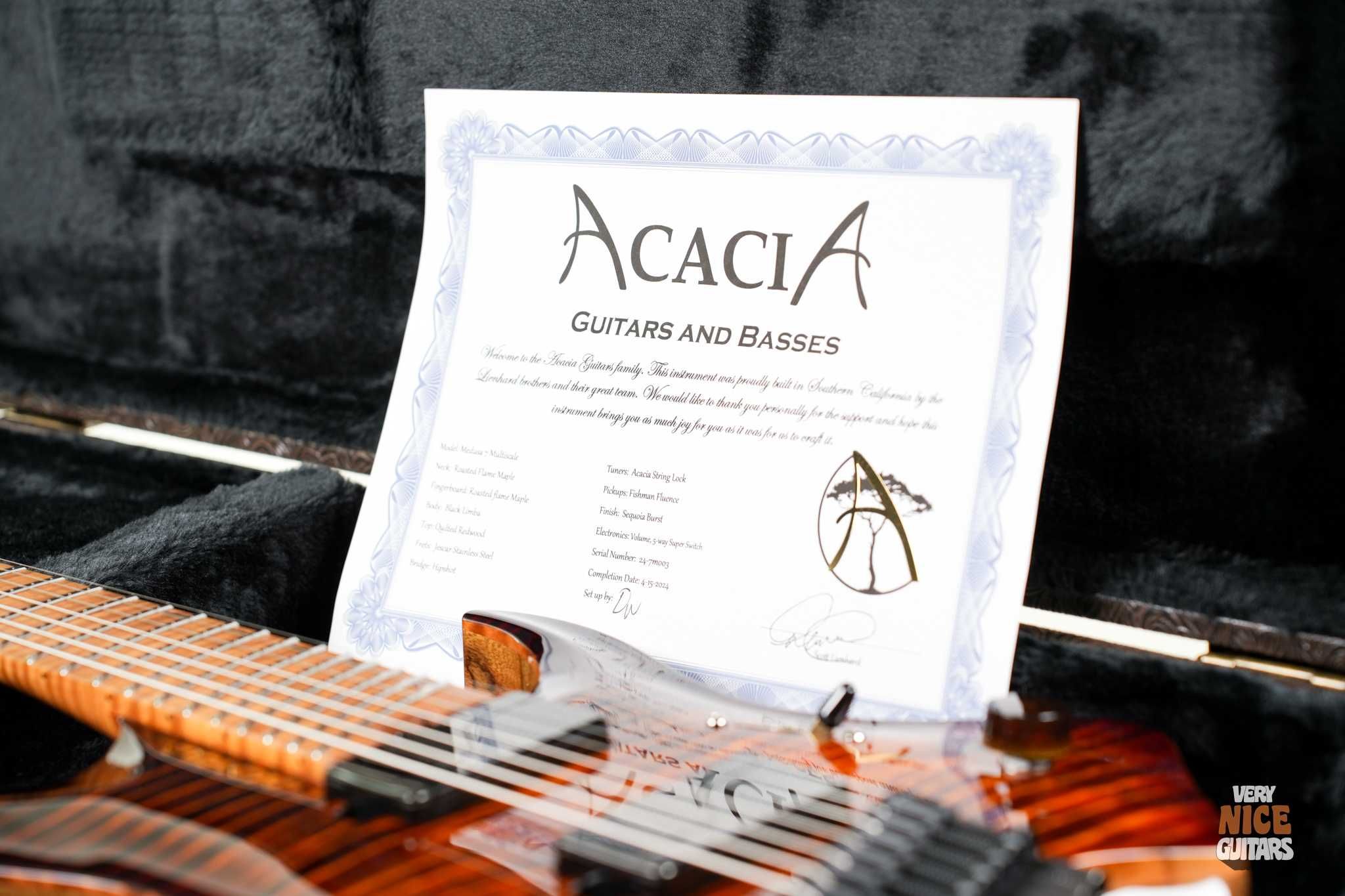 Acacia Medusa 7 Custom
