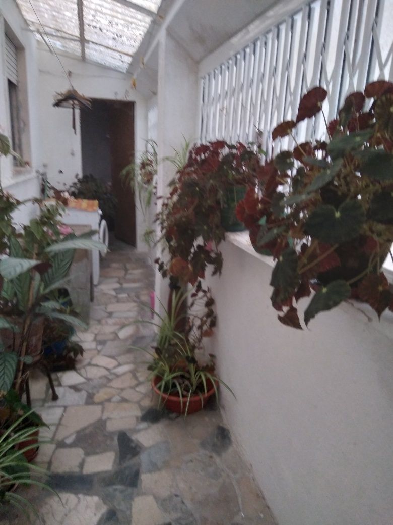 Plantas de interior e de jardim
