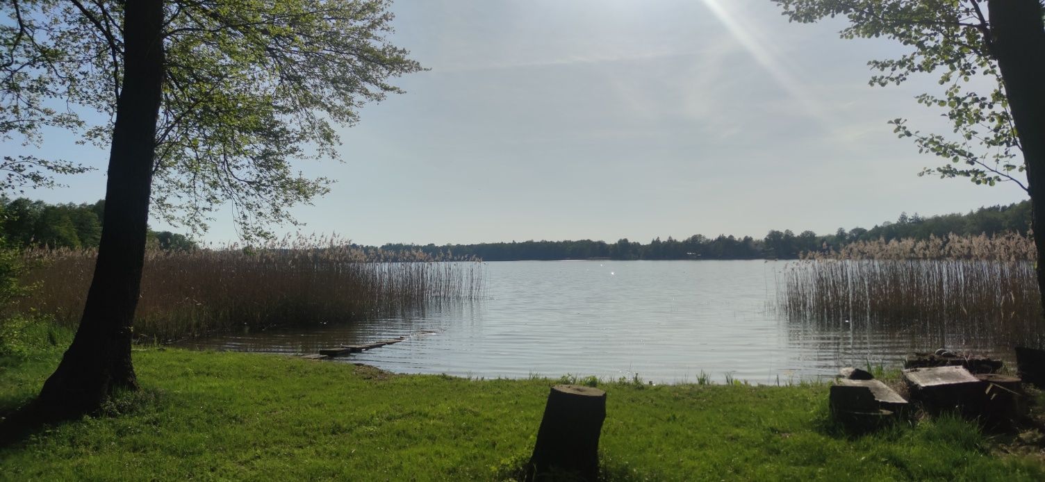 Działka nad jeziorem