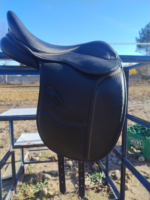 ujeżdżeniowe Claridge House 15'5 - 16"