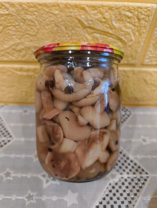 Гриби консервовані,Білі,польські,маслята