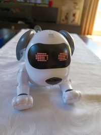 Cão robot com comando