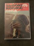 Słodki koniec dnia, dvd, nowe, folia