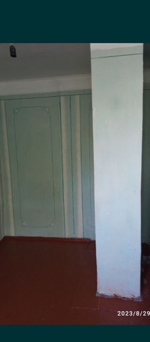 Будинок в Кам'янках