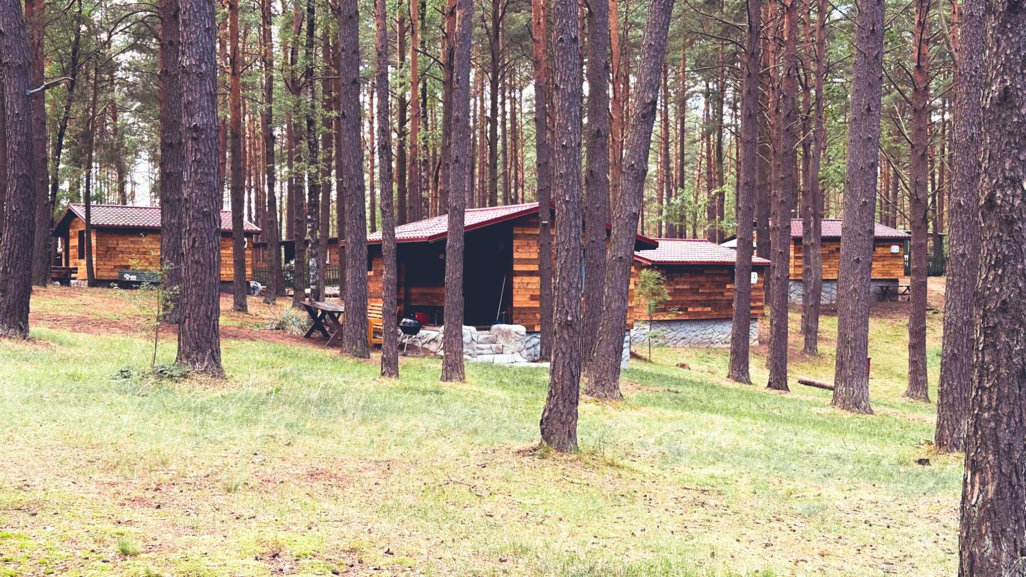 Wynajmę domek letniskowy , Ocypel Bory Tucholskie ,  Kociewie