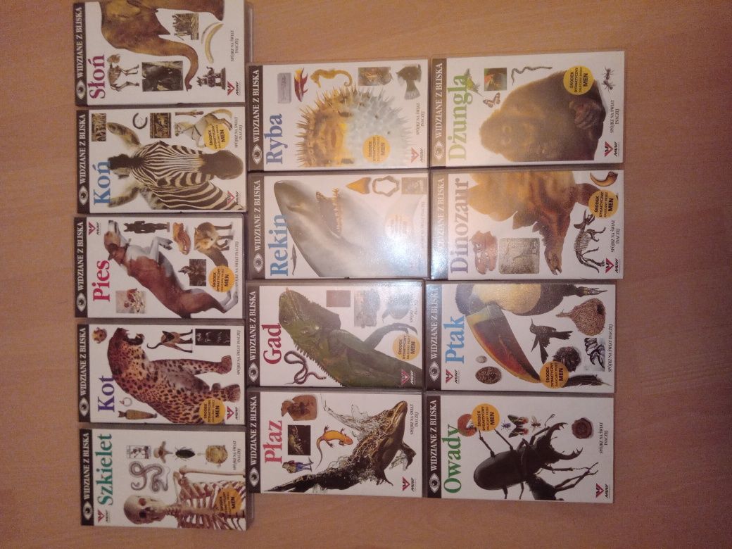 Widziane z bliska komplet 13 kaset płaz gad rekin ryba kot