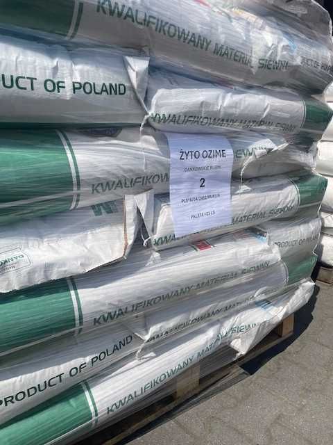 Żyto populacyjne Dańkowskie RUBIN Granat