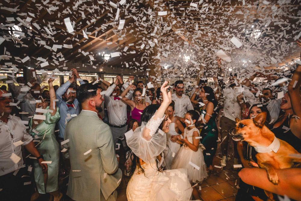 Animação de Casamentos - Aluguer de Som, Luz, Fumo