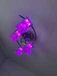 Lampa wiszaca  3w1