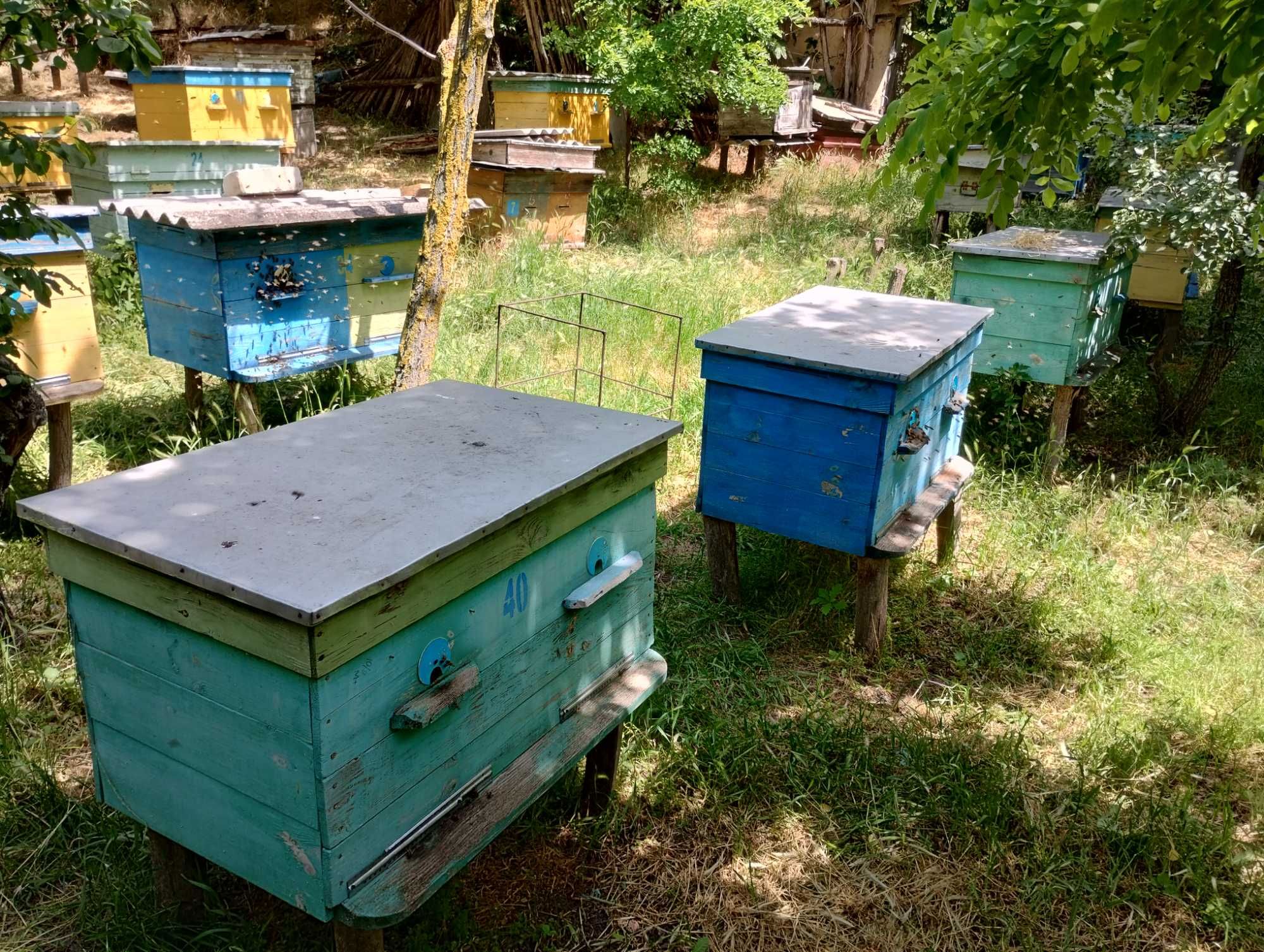 Продам бджолосімї з вуликами