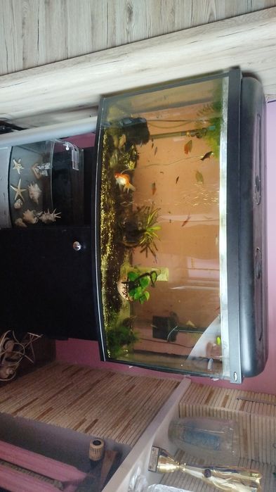Sprzedam akwarium 180/200 l