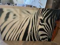 Zebra- obraz na płótnie