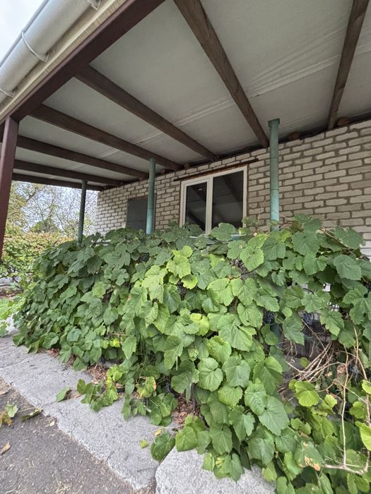 Без комиссии, с Новой крышей! Продам дом в Орловщине.